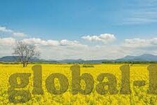 全新足球比分网-全新足球比分网，球迷的终极观赛神器，开启智能观赛新纪元
